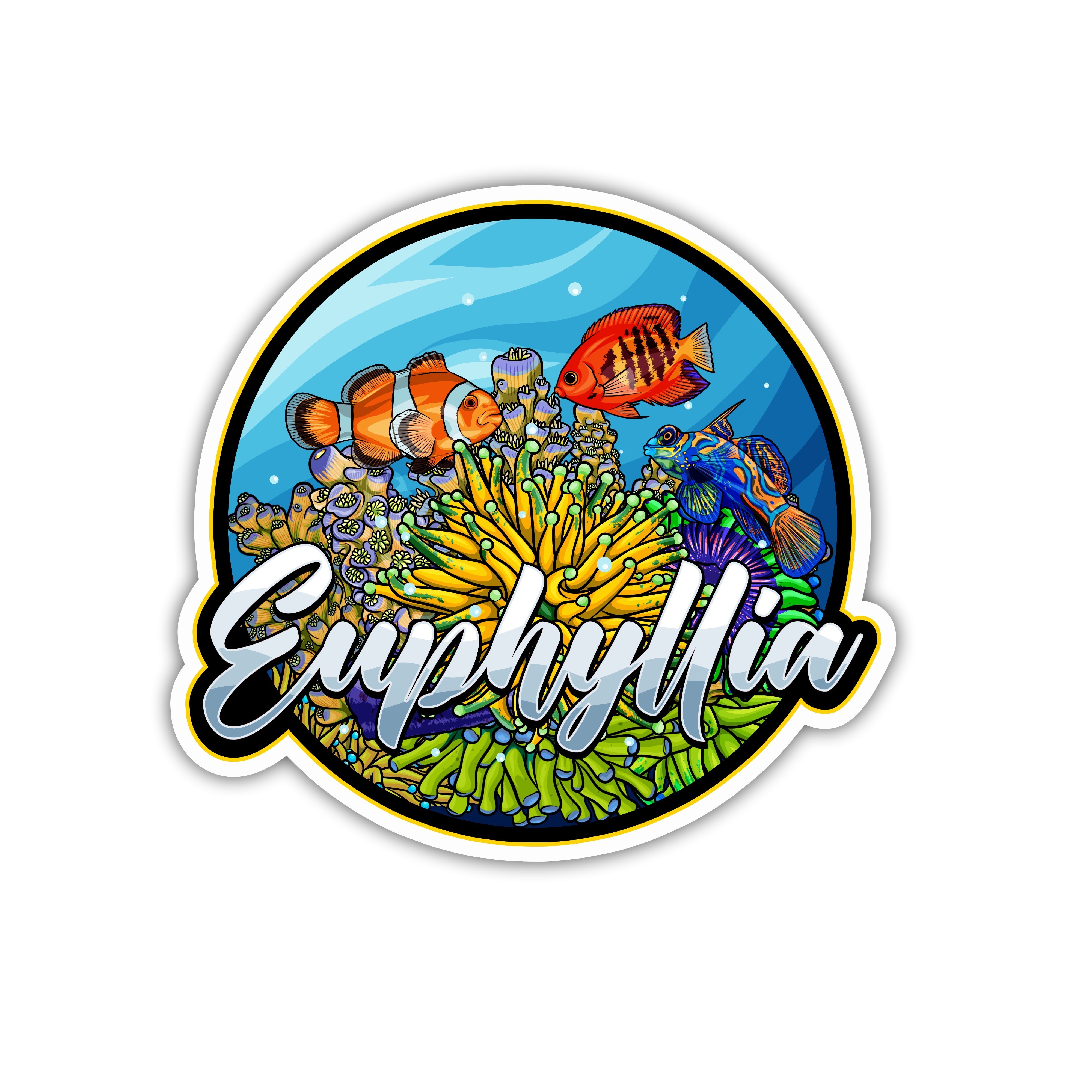 EUPHYLLIA